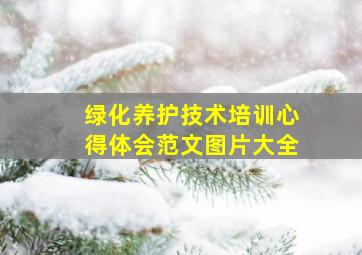 绿化养护技术培训心得体会范文图片大全