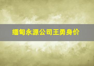 缅甸永源公司王勇身价