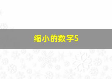 缩小的数字5