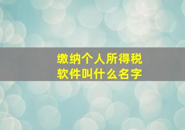 缴纳个人所得税软件叫什么名字