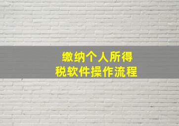 缴纳个人所得税软件操作流程