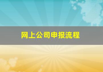 网上公司申报流程