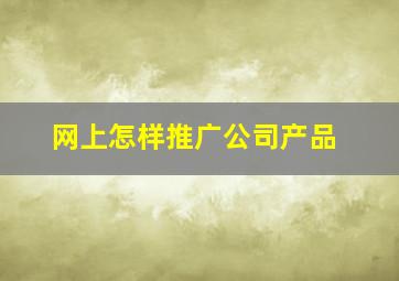 网上怎样推广公司产品