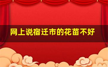 网上说宿迁市的花苗不好