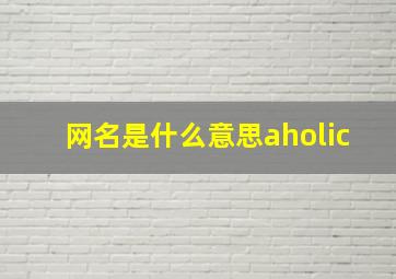 网名是什么意思aholic