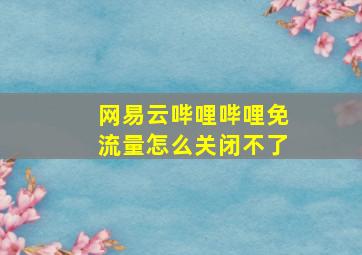 网易云哔哩哔哩免流量怎么关闭不了