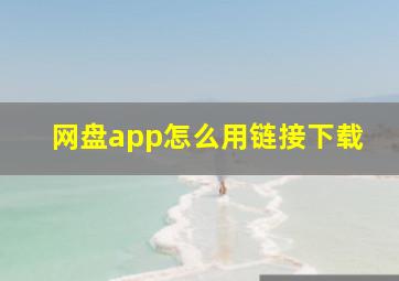 网盘app怎么用链接下载