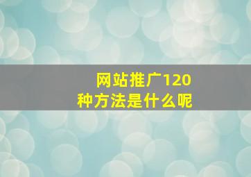 网站推广120种方法是什么呢