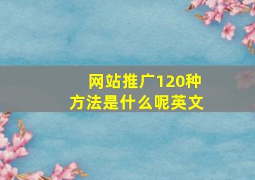 网站推广120种方法是什么呢英文