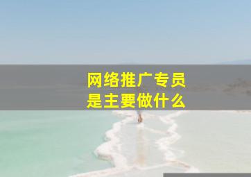 网络推广专员是主要做什么