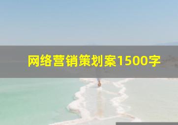 网络营销策划案1500字