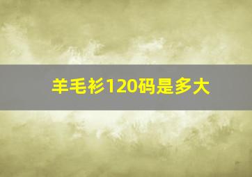 羊毛衫120码是多大