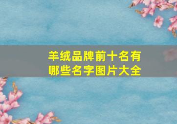 羊绒品牌前十名有哪些名字图片大全