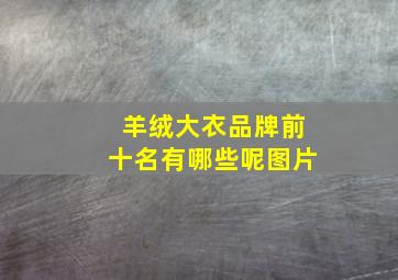 羊绒大衣品牌前十名有哪些呢图片