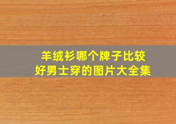 羊绒衫哪个牌子比较好男士穿的图片大全集