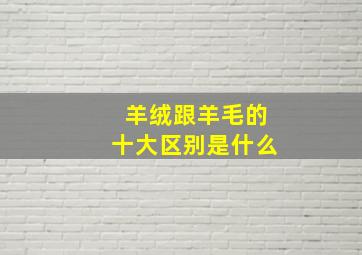 羊绒跟羊毛的十大区别是什么