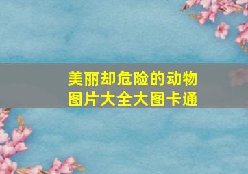 美丽却危险的动物图片大全大图卡通