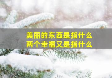 美丽的东西是指什么两个幸福又是指什么