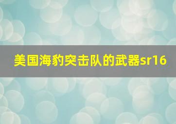 美国海豹突击队的武器sr16