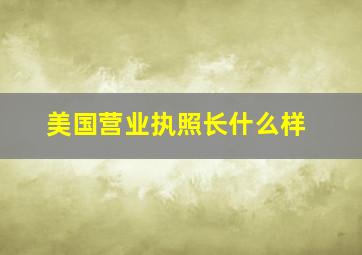 美国营业执照长什么样