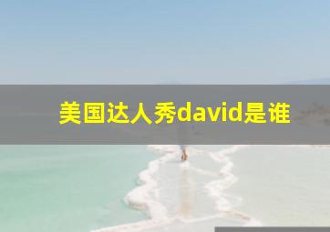 美国达人秀david是谁