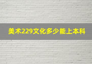 美术229文化多少能上本科