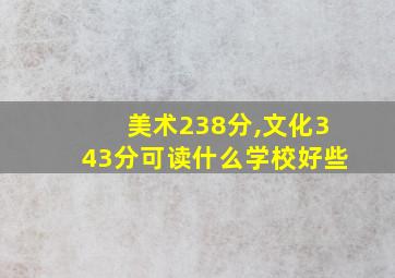 美术238分,文化343分可读什么学校好些