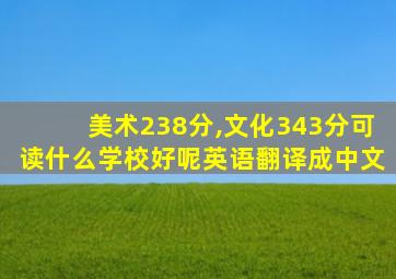 美术238分,文化343分可读什么学校好呢英语翻译成中文