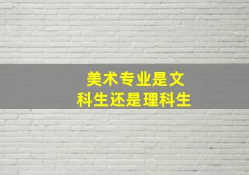 美术专业是文科生还是理科生