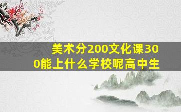 美术分200文化课300能上什么学校呢高中生