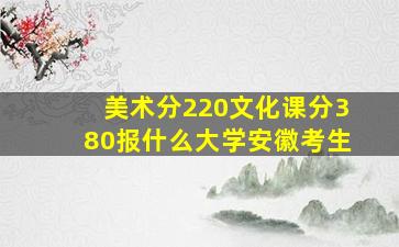 美术分220文化课分380报什么大学安徽考生