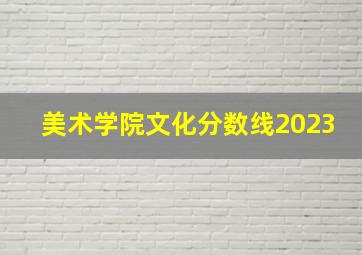 美术学院文化分数线2023