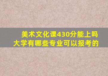 美术文化课430分能上吗大学有哪些专业可以报考的