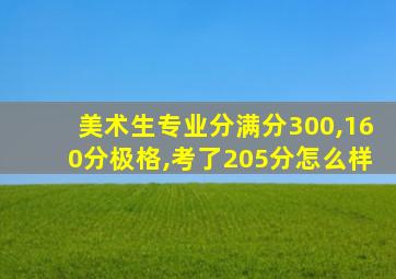 美术生专业分满分300,160分极格,考了205分怎么样