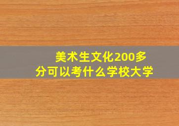 美术生文化200多分可以考什么学校大学