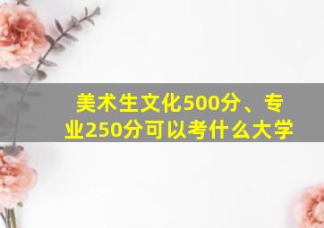 美术生文化500分、专业250分可以考什么大学