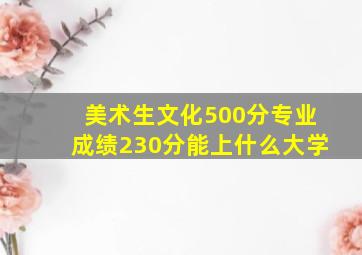 美术生文化500分专业成绩230分能上什么大学