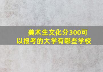 美术生文化分300可以报考的大学有哪些学校