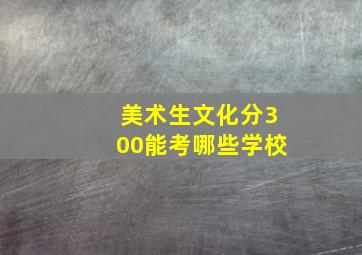 美术生文化分300能考哪些学校