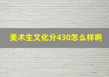 美术生文化分430怎么样啊