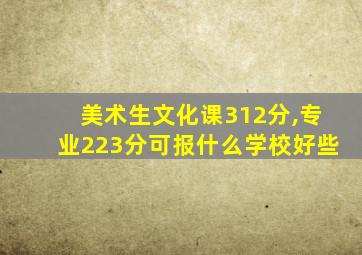 美术生文化课312分,专业223分可报什么学校好些