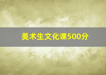 美术生文化课500分