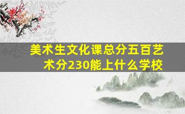 美术生文化课总分五百艺术分230能上什么学校