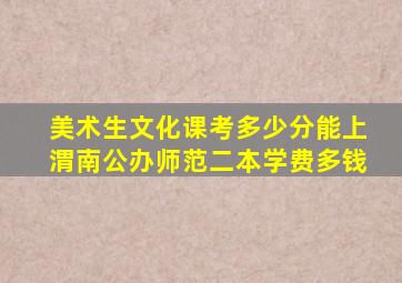 美术生文化课考多少分能上渭南公办师范二本学费多钱