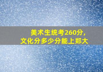 美术生统考260分,文化分多少分能上郑大