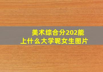 美术综合分202能上什么大学呢女生图片