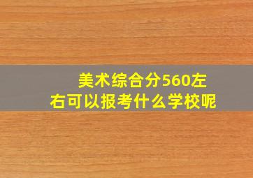 美术综合分560左右可以报考什么学校呢