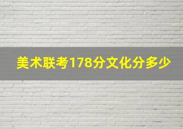 美术联考178分文化分多少