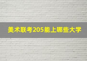 美术联考205能上哪些大学