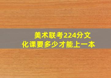 美术联考224分文化课要多少才能上一本